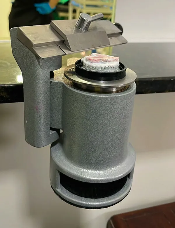 Micrótomo de congelação com amostra de tecido pronta para o corte